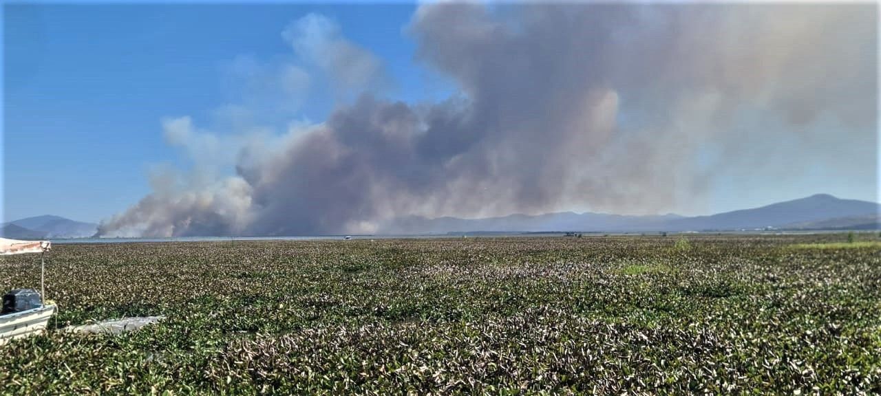 Vecinos acusan ecocidio tras incendio en la laguna de Yuriria 